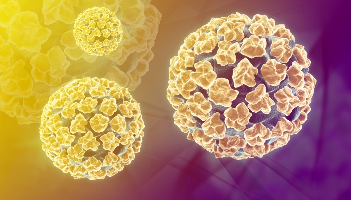 Что такое вирус папилломы человека у женщин, как он передается, как от ...